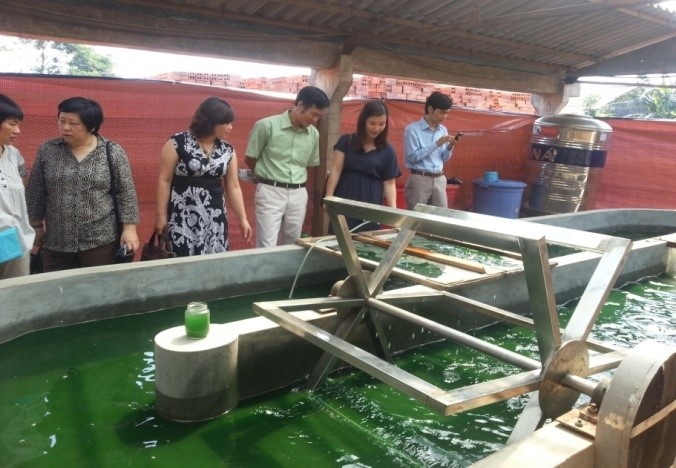 Hệ thống nuôi vi tảo bằng khí CO2 được thu hồi từ khí thải đốt than